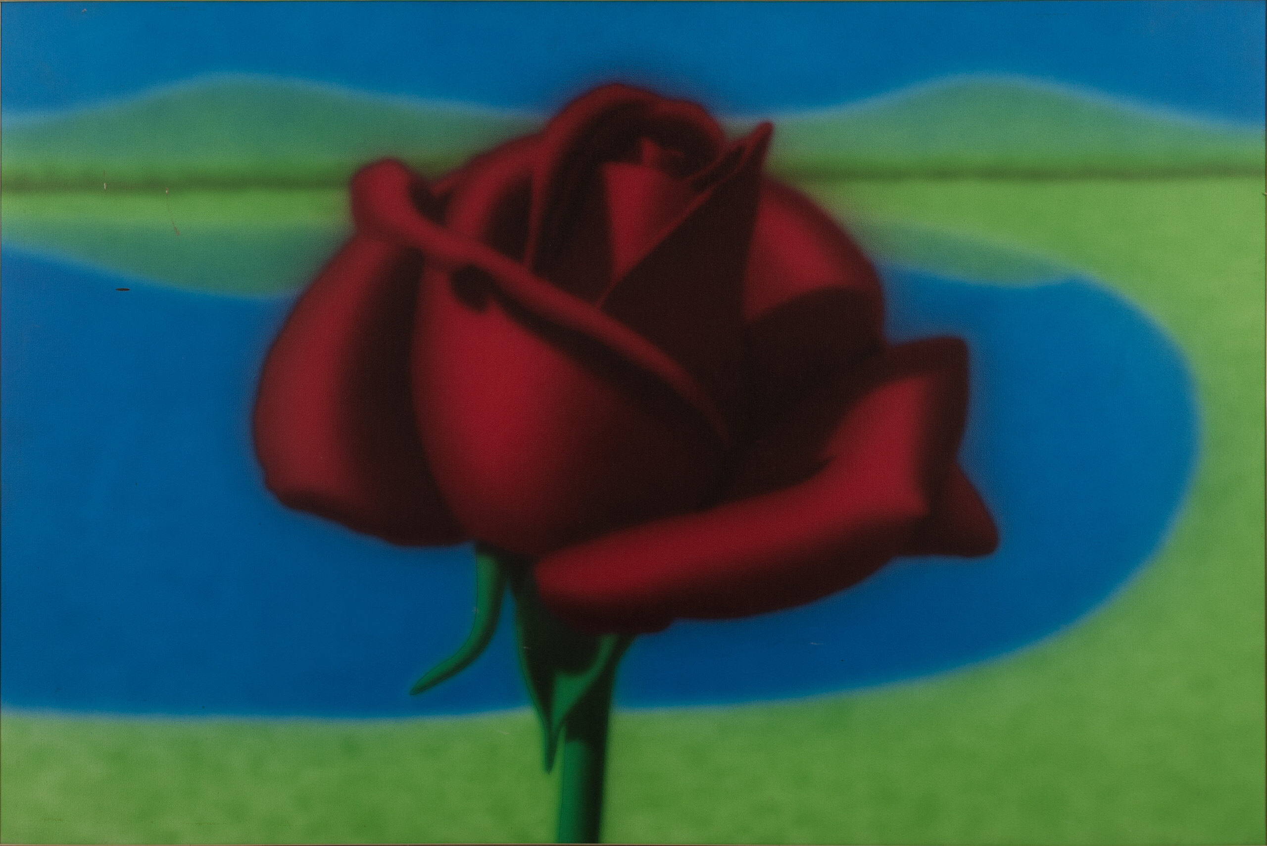 Rosa