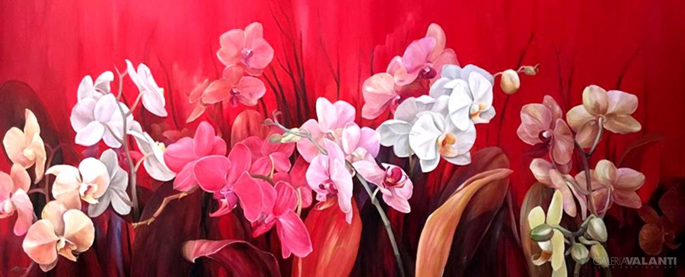 Orquídeas Floreciendo y Rojos