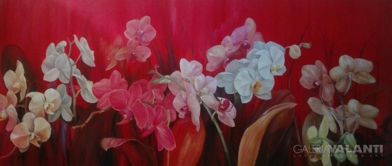 Orquídeas floreciendo y rojos