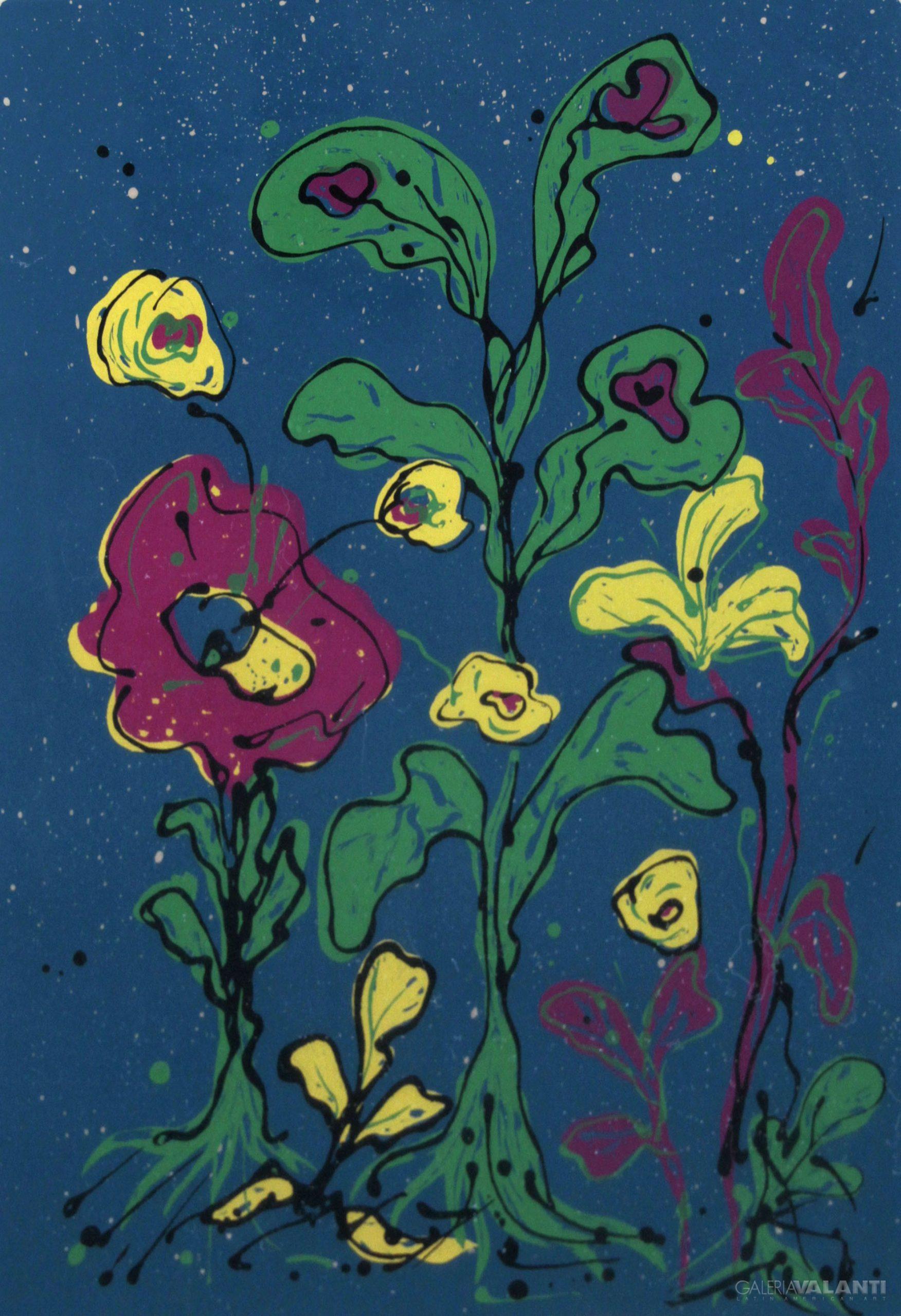 Suite Brazil-Amazona