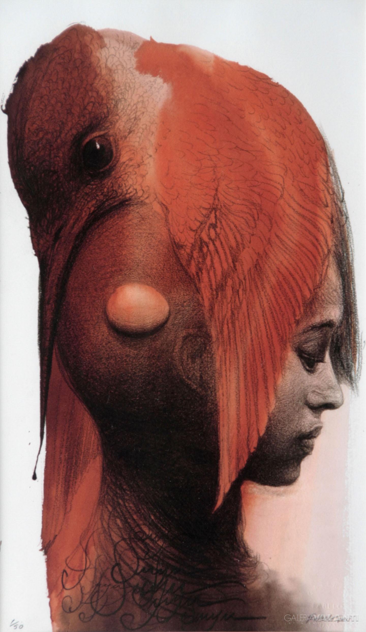 Colibrí Descansando