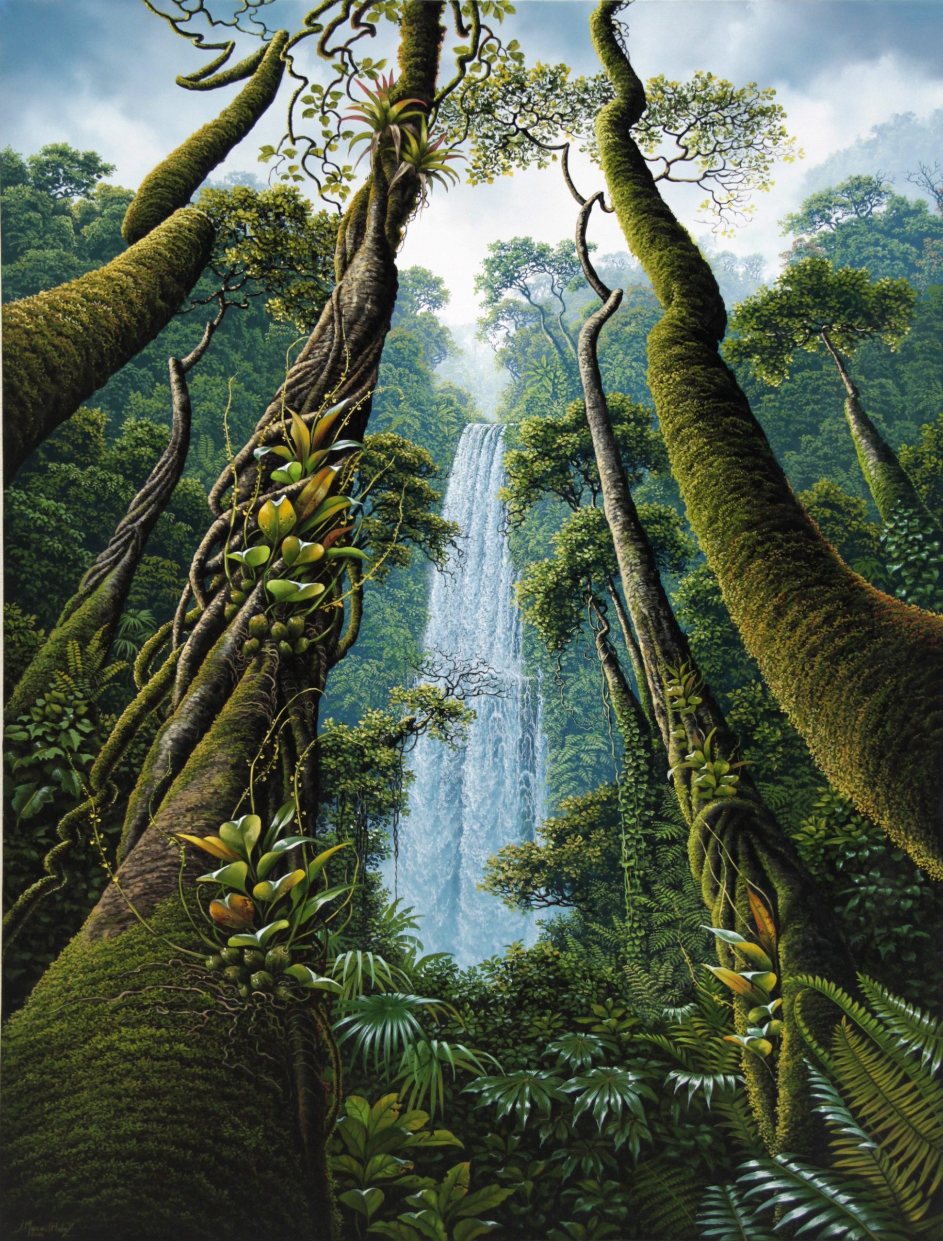 Cascada y Selva