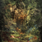 Amanecer en el Bosque