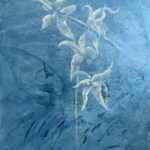 Orquídeas Azules