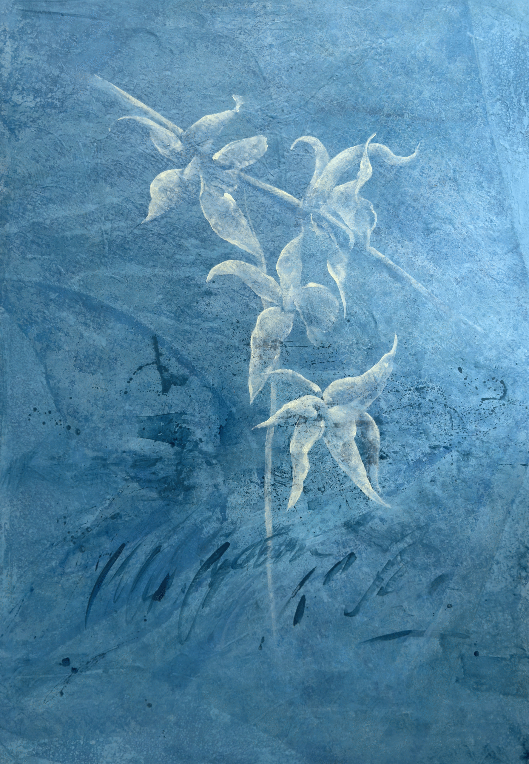 Orquídeas Azules