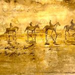 Paseo por Cabo Polonia