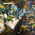 Crónicas ornitológicas: asalto al Museo de Oro